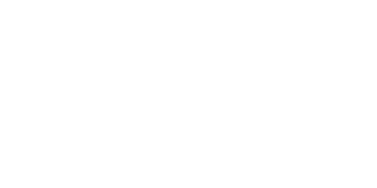 Toro Centenario