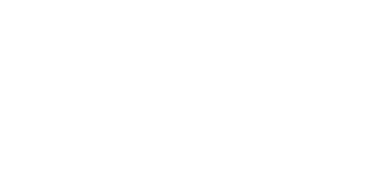 Toro Centenário Los Laburantes