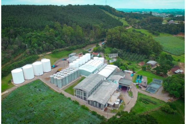 Base produtora <span>São Marcos - RS</span>