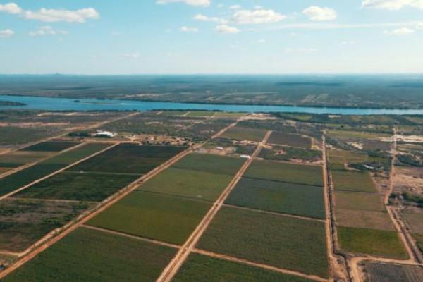 Base produtora <span>Lagoa Grande - PE</span>